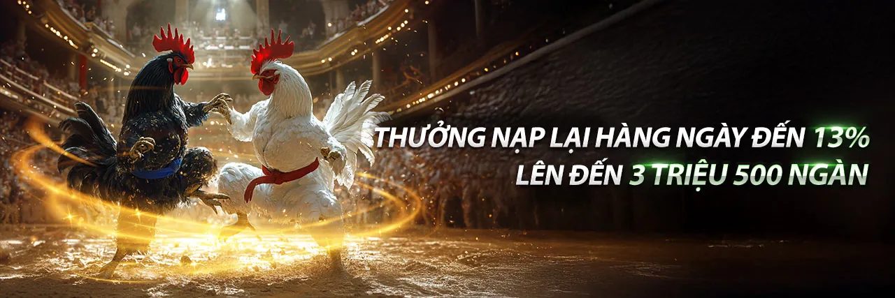 Hình ảnh chuyên gia uu888 đưa ra các đề xuất cá cược